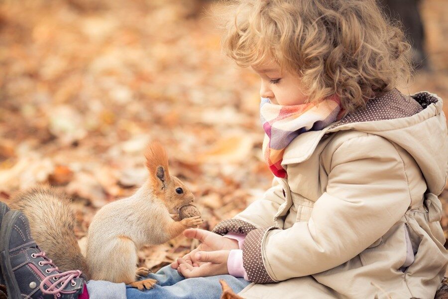 Comment observer les animaux ?