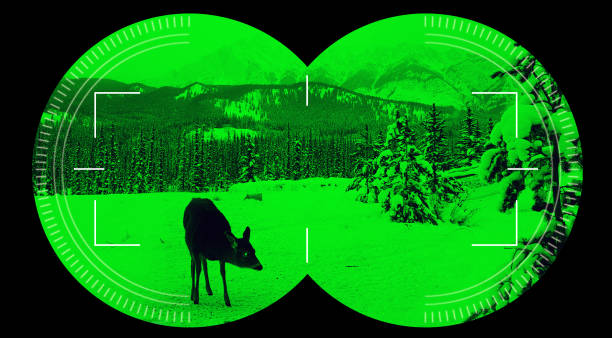 Comment fonctionne une lunette de vision nocturne ?